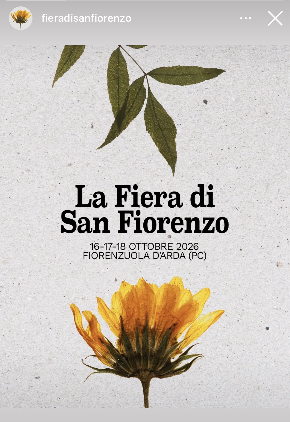 LA FIERA DI SAN FIORENZO